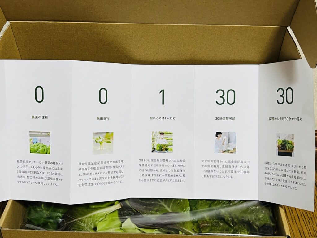 ージーサプライは農薬不使用で無菌栽培・触れるのは一人だけ・30日間日持ちする野菜